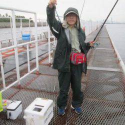 尼崎市立魚つり公園　イワシ、サッパ、サバ好調