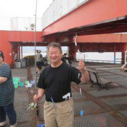 尼崎市立魚つり公園　イワシ、サッパ、サバ好調