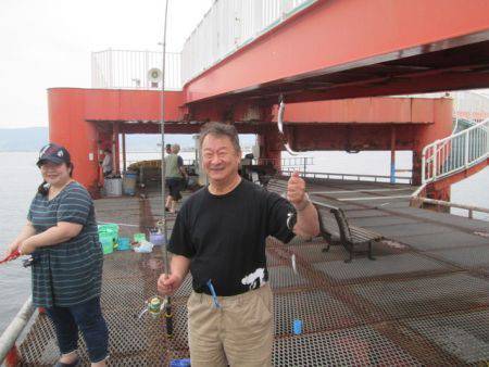 尼崎市立魚つり公園　イワシ、サッパ、サバ好調