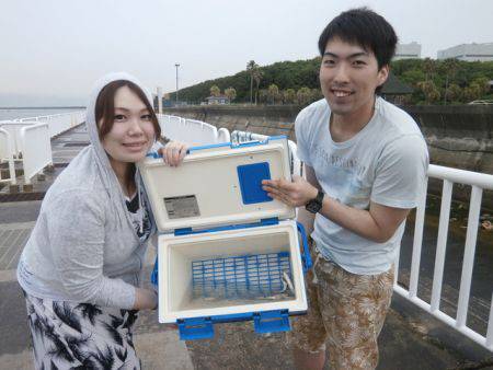 大阪南港海釣り公園　イワシ、アジほか