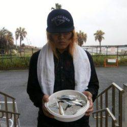 大阪南港海釣り公園　イワシ、アジほか