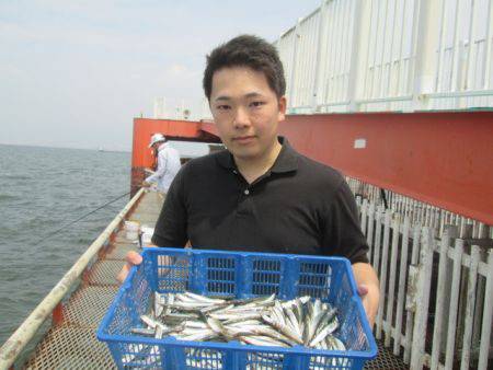 尼崎市立魚つり公園　イワシ400匹