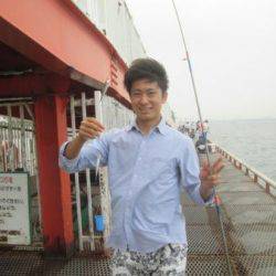 尼崎市立魚つり公園　イワシ400匹