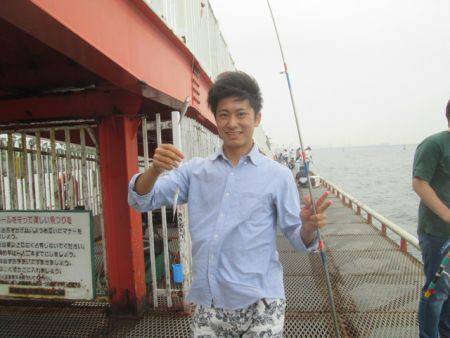 尼崎市立魚つり公園　イワシ400匹