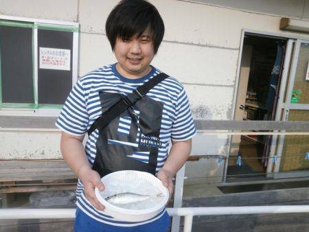 大阪南港海釣り公園　アジ、ガシラ