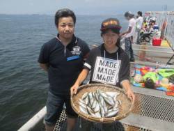 尼崎市立魚つり公園　イワシ、サッパ、サバ好調