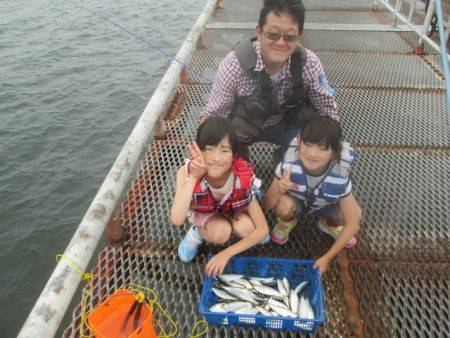 尼崎市立魚つり公園　サッパ500匹ほか