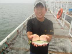 尼崎市立魚つり公園　サッパ500匹ほか