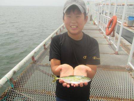 尼崎市立魚つり公園　サッパ500匹ほか