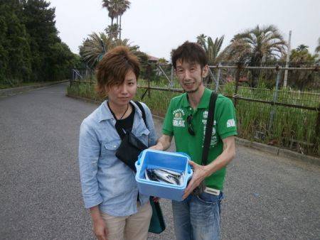 大阪南港海釣り公園　サバ、ガシラ