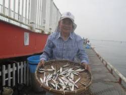 尼崎市立魚つり公園　深めのタナでイワシ