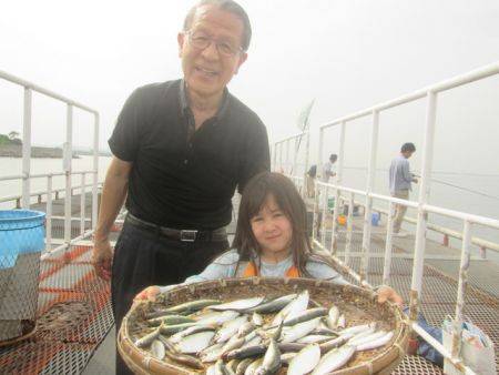 尼崎市立魚つり公園　深めのタナでイワシ