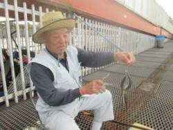 尼崎市立魚つり公園　サバ250匹ほか