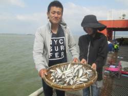 尼崎市立魚つり公園 サビキでサバ、イワシ、サッパ、アジ、コノシロ好釣