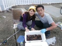 大阪南港海釣り公園　サバ、アジ、ガシラ