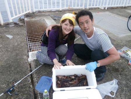 大阪南港海釣り公園　サバ、アジ、ガシラ