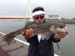 尼崎市立魚つり公園　サビキでサバ500匹