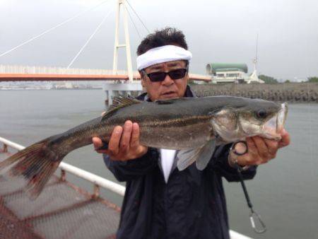 尼崎市立魚つり公園　サビキでサバ500匹