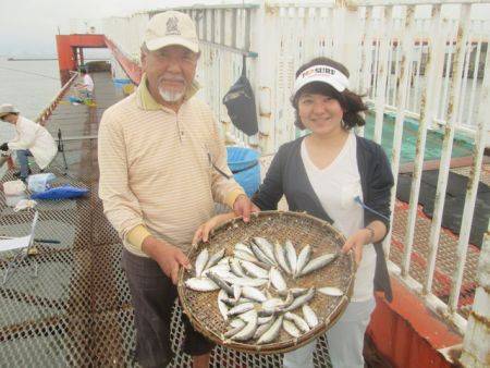 尼崎市立魚つり公園　サッパ、アジ、イワシほ…