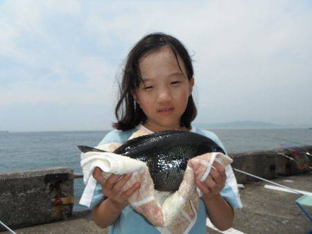 和歌山北港魚つり公園 グレ 28cm!