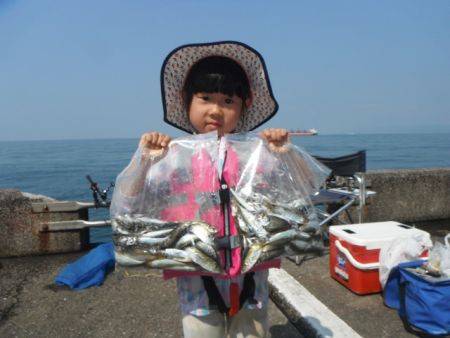 和歌山北港魚つり公園 アジ釣れてます