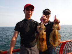 神戸市立平磯海づり公園　アオリイカ