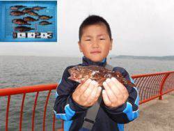 胴突仕掛で根魚@平磯海づり公園