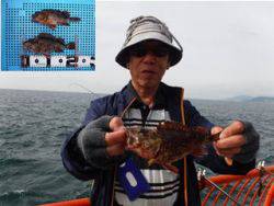 神戸市立平磯海づり公園　ガシラ