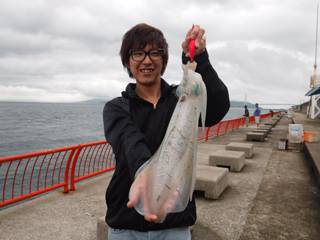 神戸市立平磯海づり公園　アオリイカ1400…