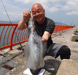 神戸市立平磯海づり公園　アオリイカ　記録賞！　2110g 	1パイ