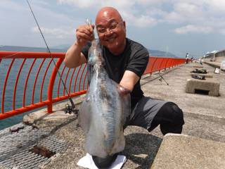神戸市立平磯海づり公園　アオリイカ　記録賞…