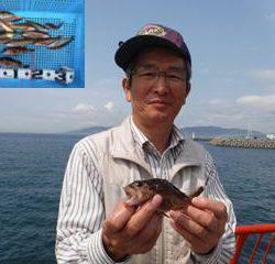 神戸市立平磯海づり公園　ベラ、ガシラ