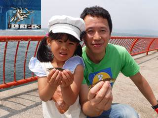 神戸市立平磯海づり公園　サビキでアジ