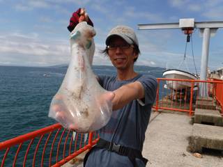 神戸市立平磯海づり公園　アオリイカ 	13…