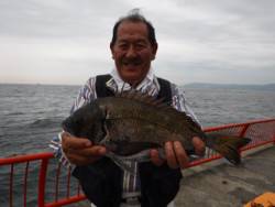 神戸市立平磯海づり公園　ウキ釣りでチヌ、グレ