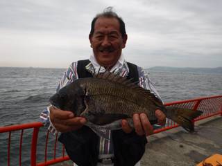 神戸市立平磯海づり公園　ウキ釣りでチヌ、グ…