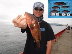 神戸市立平磯海づり公園　ウキ釣りでアコウ、ガシラ