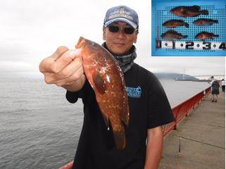 神戸市立平磯海づり公園　ウキ釣りでアコウ、…