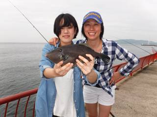 神戸市立平磯海づり公園　サビキでウマヅラ