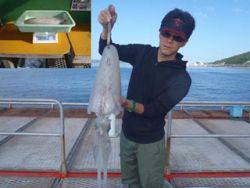 神戸市立須磨海づり公園　アオリイカ　記録賞…