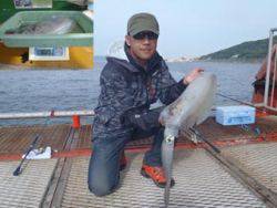 須磨海づり公園 アオリイカ記録賞！！