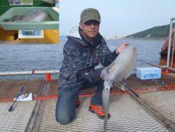 須磨海づり公園 アオリイカ記録賞！！