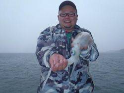 神戸市立須磨海づり公園 エギングでアオリイ…