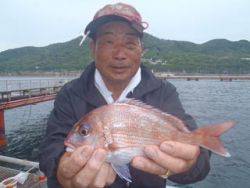 神戸市立須磨海づり公園　マダイ 	30cm…