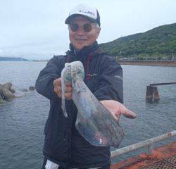 神戸市立須磨海づり公園　エギングでアオリイカ