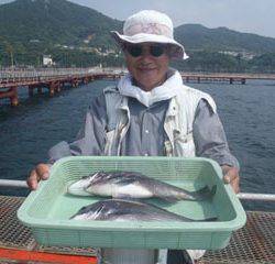 神戸市立須磨海づり公園　落し込みでチヌ