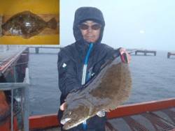 神戸市立須磨海づり公園　ヒラメ　記録賞！　51.5cm