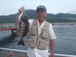 神戸市立須磨海づり公園　落し込みでチヌ