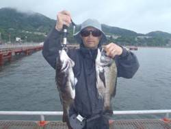 神戸市立須磨海づり公園 投稿