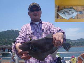 神戸市立須磨海づり公園 ウマヅラハギ38.…